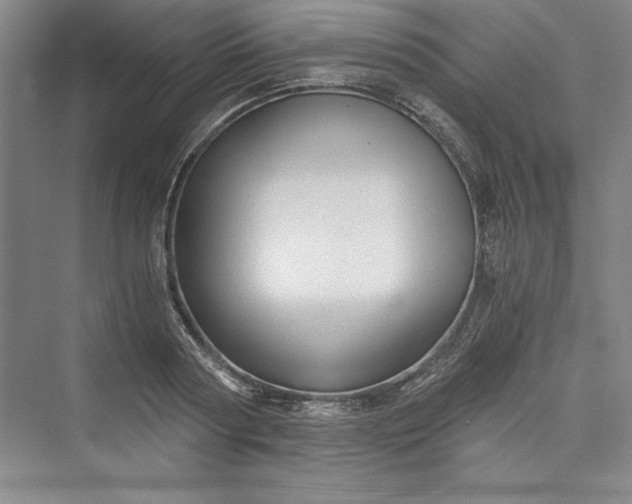 X0000073390794200608111231