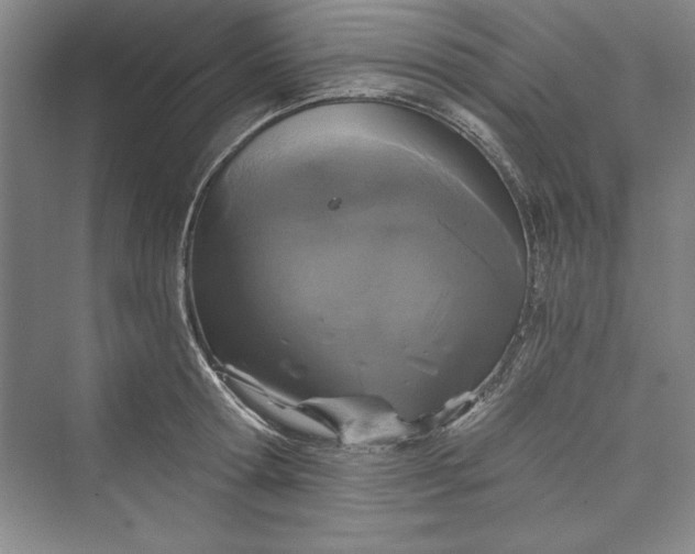 X0000073390802200608111231