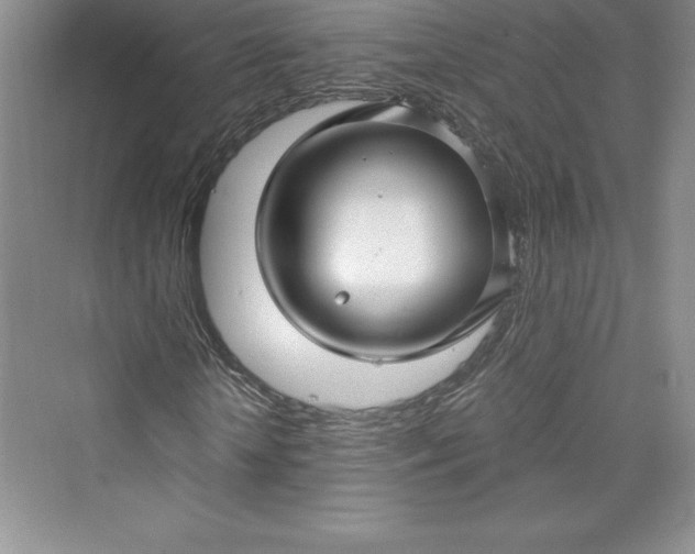 X0000073390818200608111230