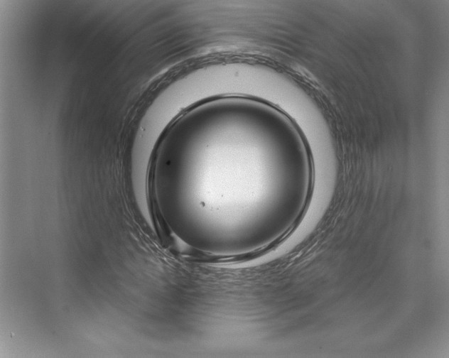 X0000073390822200608111230