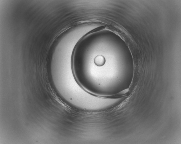 X0000073390826200608111230