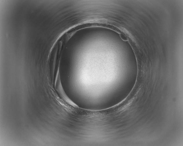 X0000073390830200608111230