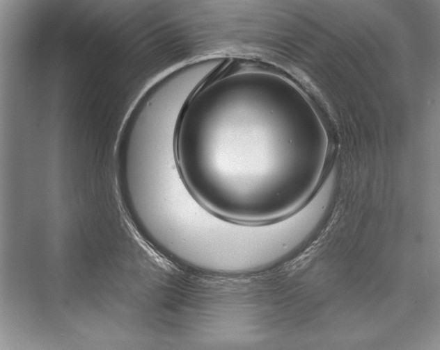 X0000073390838200608111231