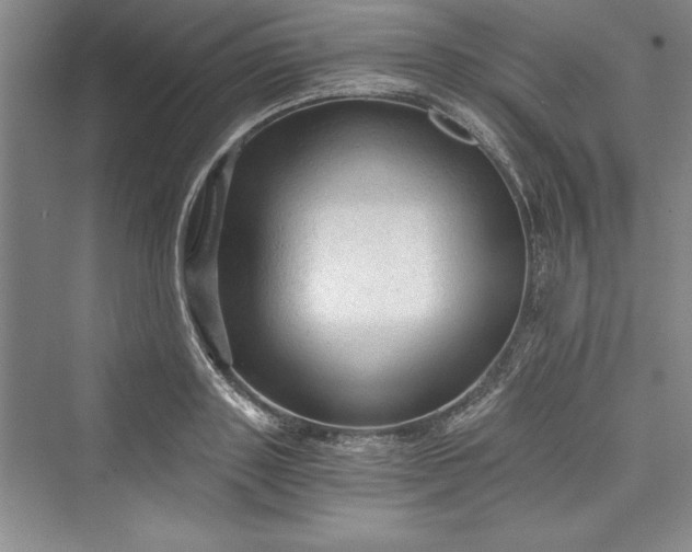X0000073390843200608111231