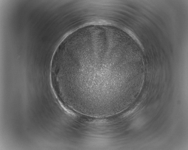 X0000073390845200608111231