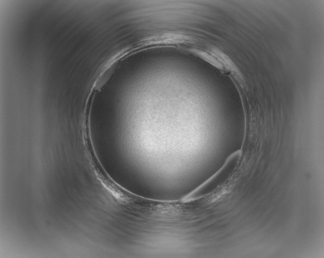 X0000073390850200608111231