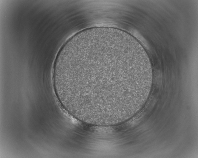 X0000073390856200608111231