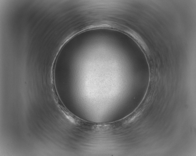 X0000073390858200608111231