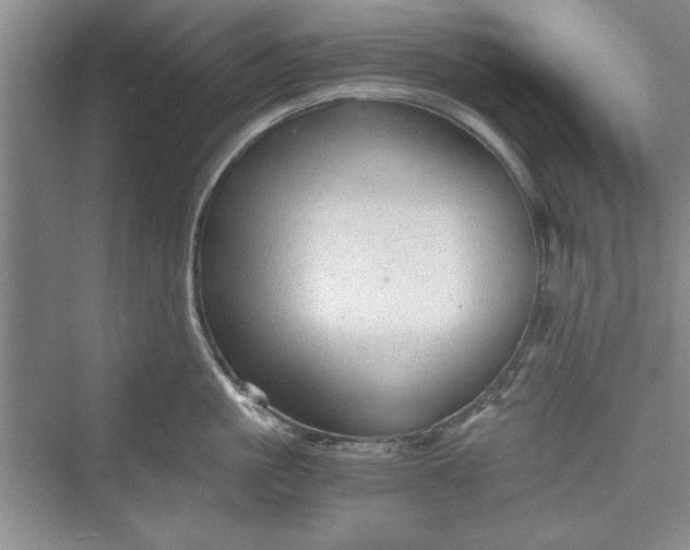 X0000073390861200608111231