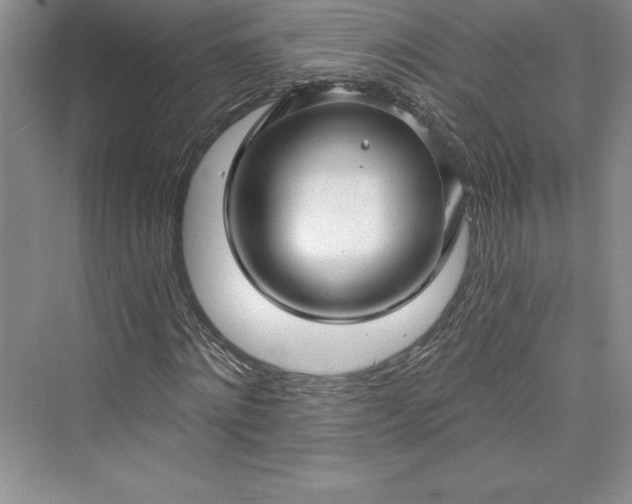 X0000073390868200608111230