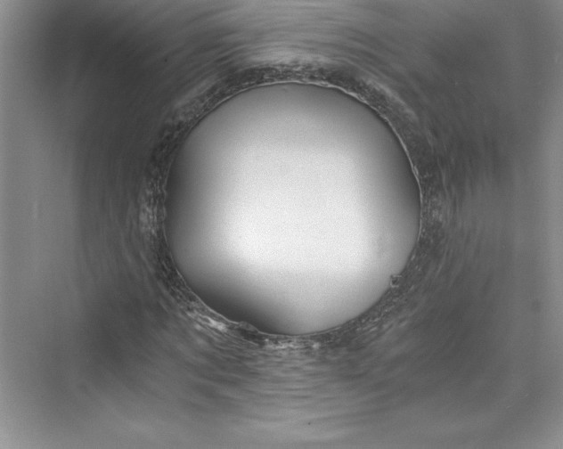 X0000073390869200608111230