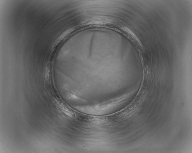 X0000073390874200608111230