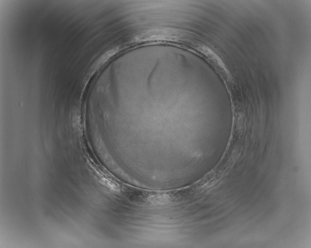 X0000073390882200608111230