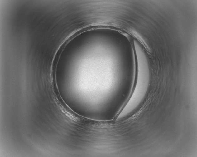 X0000073390884200608111230