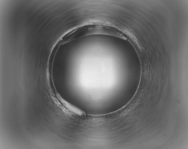 X0000073390888200608111230