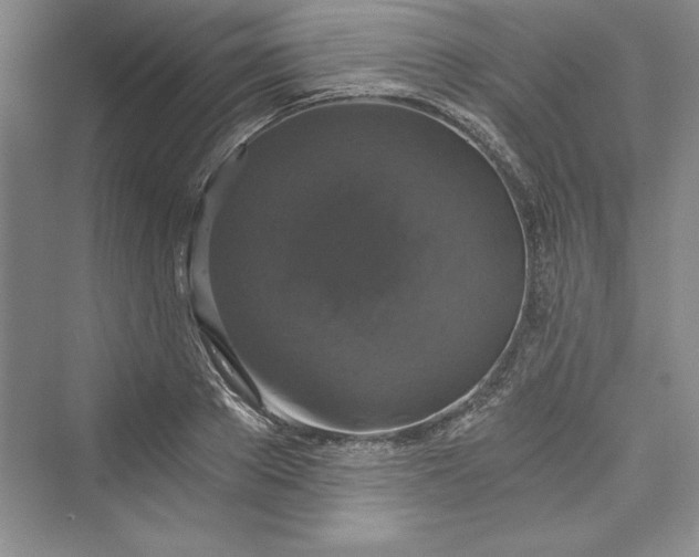 X0000073390889200608111230
