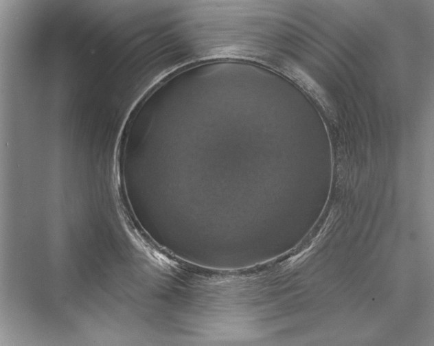X0000073390892200608111230