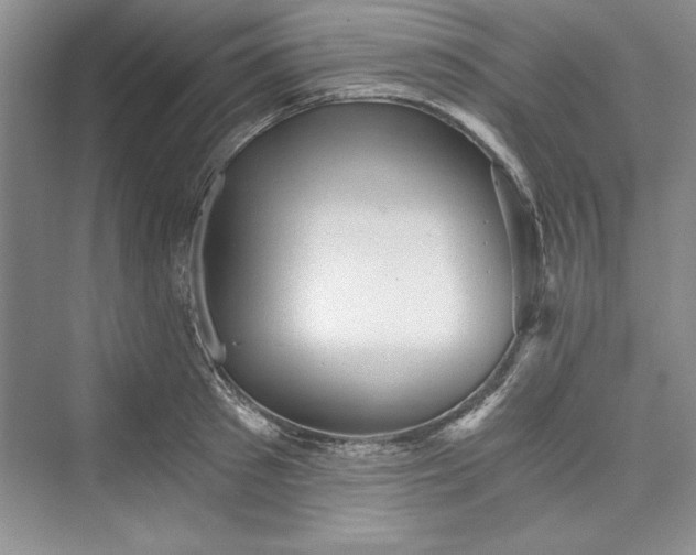 X0000073390897200608111230