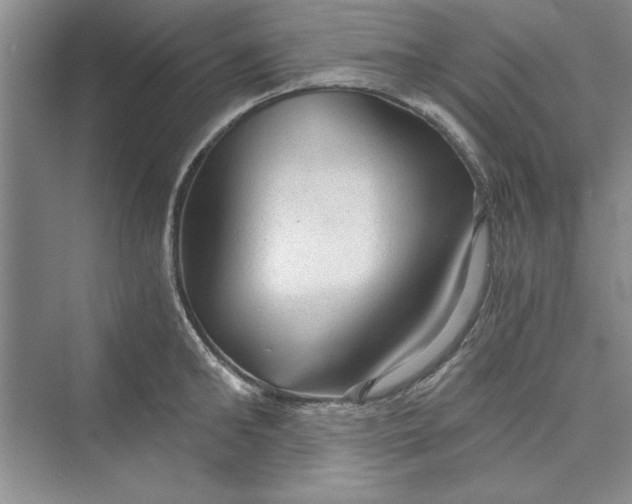 X0000073390902200608111230