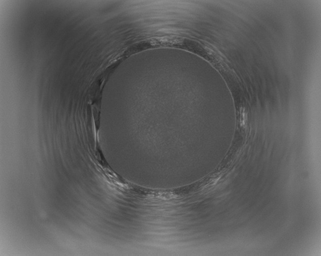 X0000073390915200608111229