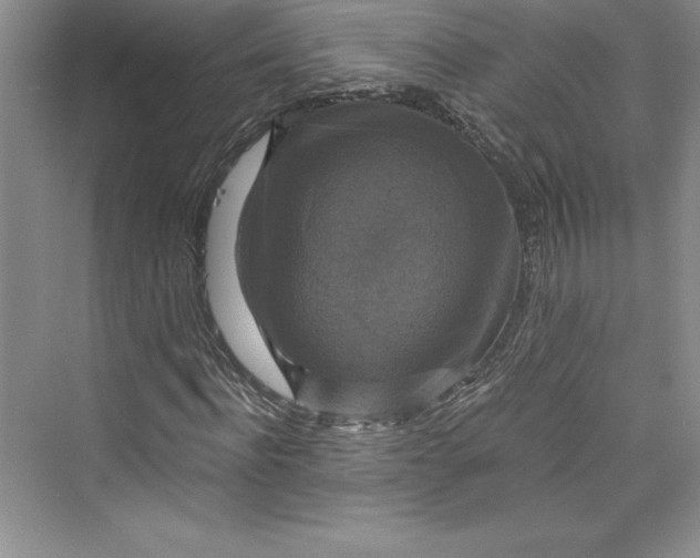 X0000073390916200608111229