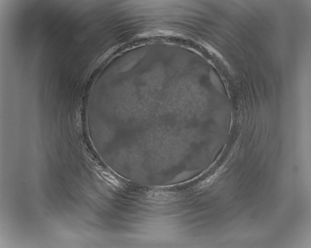 X0000073390921200608111229