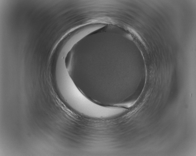 X0000073390923200608111229