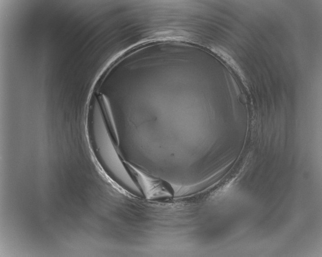 X0000073390941200608111229