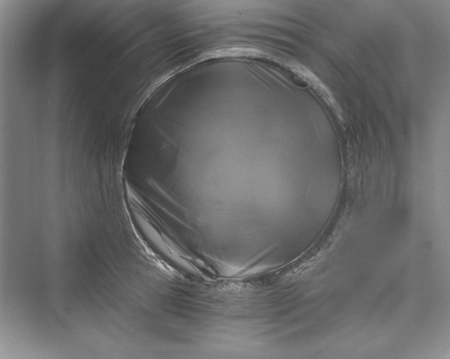 X0000073390945200608111229