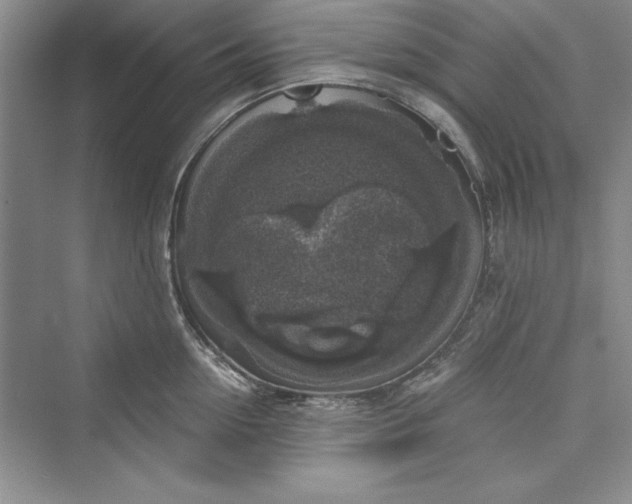 X0000073390954200608111229