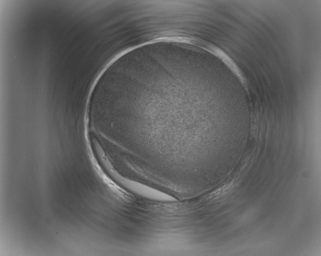X0000073390955200608111229