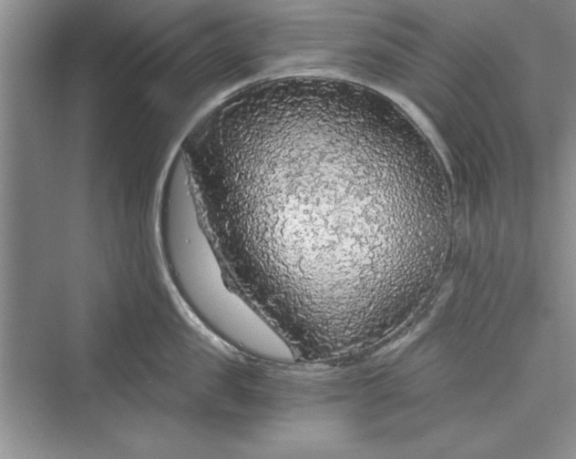 X0000073390957200608111229