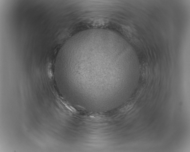 X0000073390962200608111229