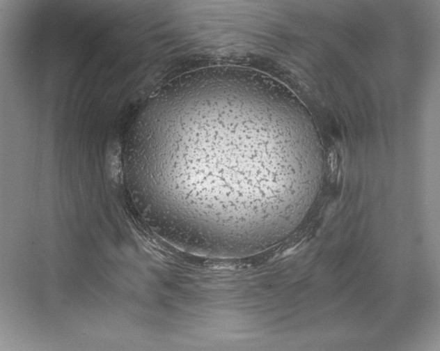 X0000073390963200608111229