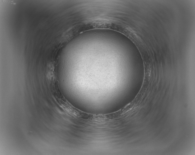 X0000073390964200608111229
