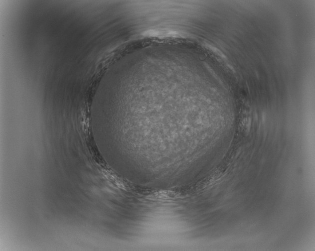X0000073390966200608111229
