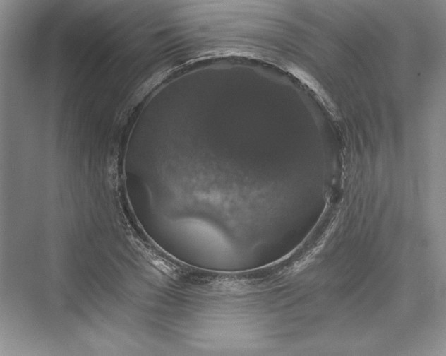 X0000073390977200608111228