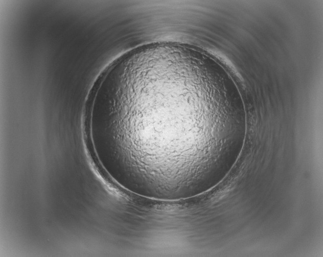X0000073390991200608111228