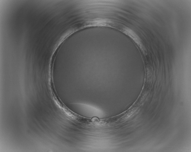 X0000073390994200608111228
