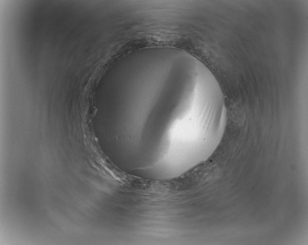 X0000073391009200608111227