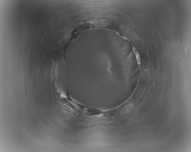 X0000073391010200608111227