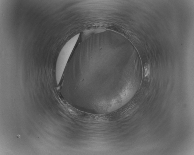 X0000073391011200608111227