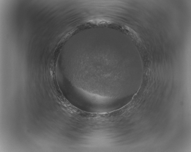 X0000073391014200608111227