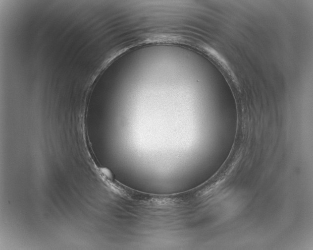 X0000073391041200608111228