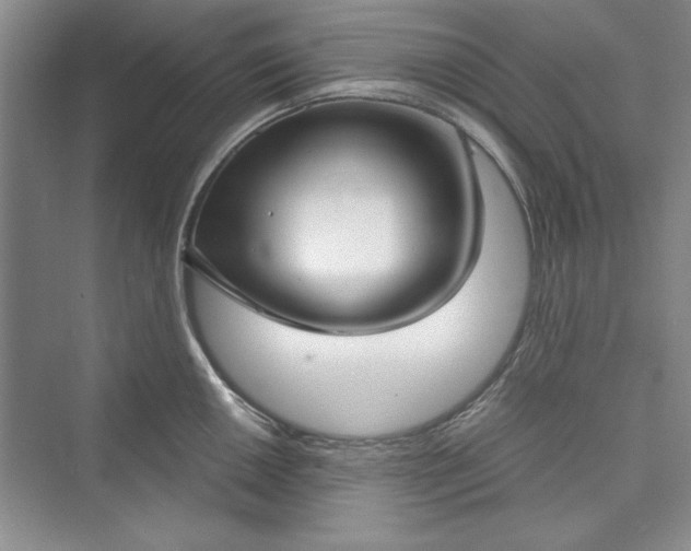 X0000073391050200608111228