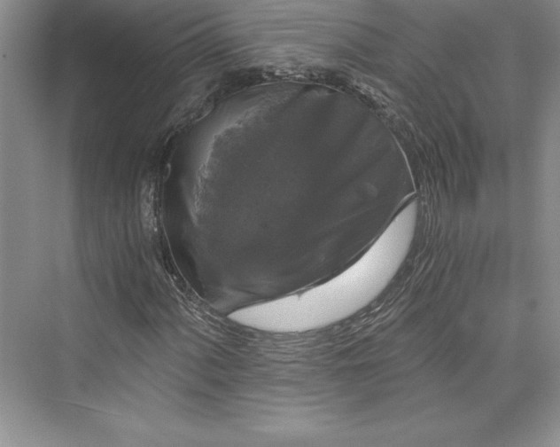 X0000073391060200608111227