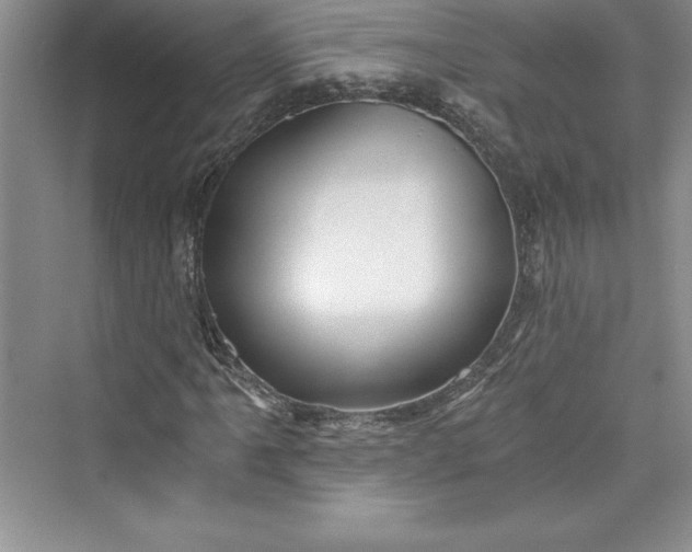 X0000073391061200608111227
