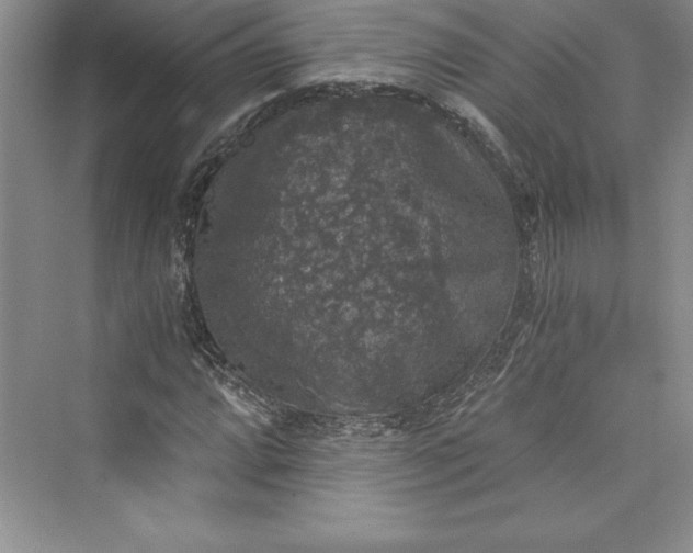 X0000073391064200608111227