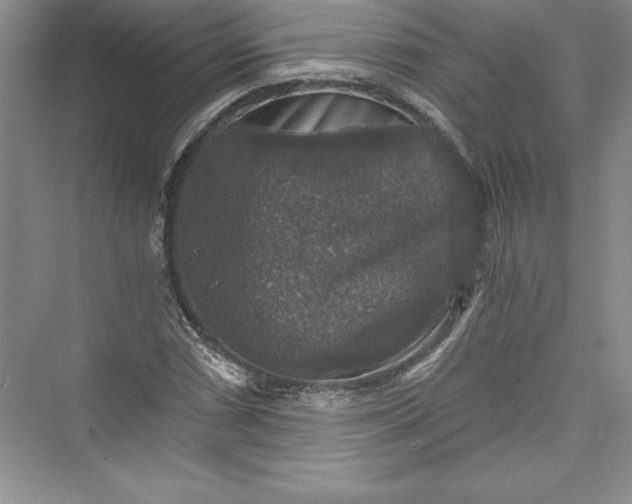 X0000073391066200608111227