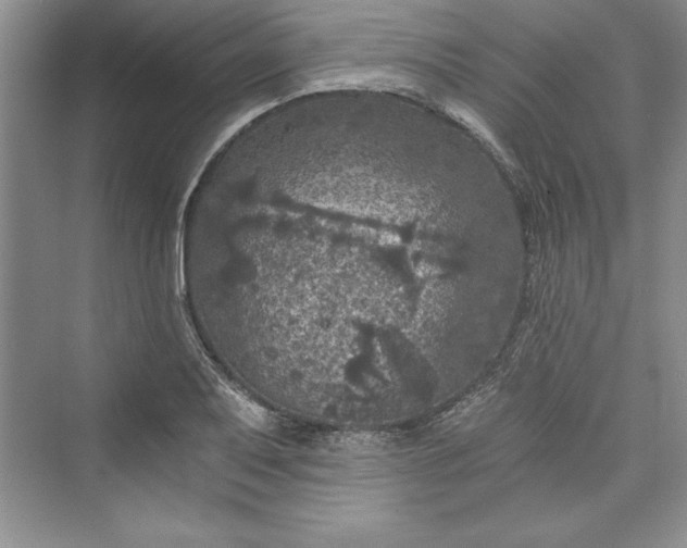 X0000073391079200608111227